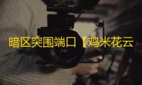 暗区突围端口【鸡米花云端】外挂