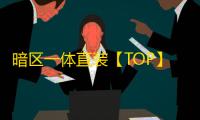 暗区一体直装【TOP】辅助